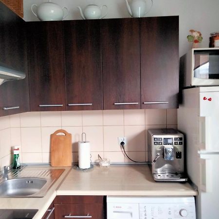 Cicha Kawalerka W Samym Centrum Czestochowa Bagian luar foto
